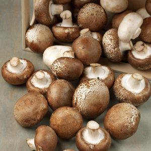 Mushrooms - Cremini