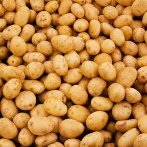Yukon Potatoes