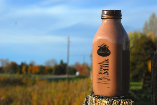 Chocolate Milk - Sheldon Creek Dairy