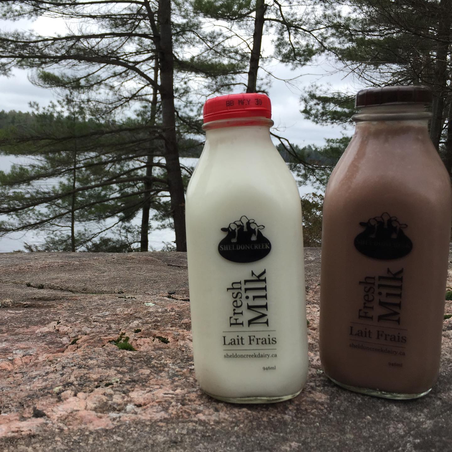 Skim Milk - Sheldon Creek Dairy