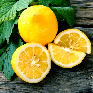 Lemon