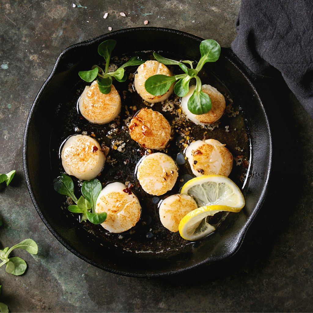 Wild Caught Atlantic Sea Scallops (10-20 pc/lb)