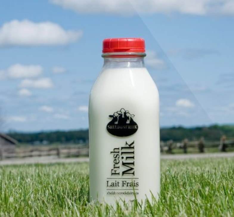 White Whole Milk - Sheldon Creek Dairy